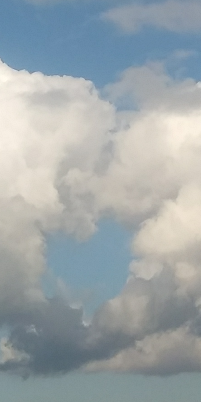 P1140907